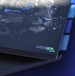 Caiet dictando cu spirala si separatoare A4 (100 file) - Strigo Pads Project Book (Tigru)
