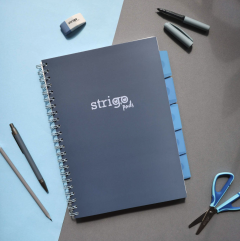 Caiet matematica cu spirala si separatoare A4 (100 file) - Strigo Pads Project Book (Albastru)