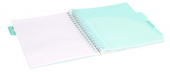 Caiet dictando cu spirala si separatoare B5 (100 file) - Strigo Pads Project Book (Pisica)