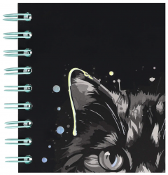 Caiet dictando cu spirala si separatoare B5 (100 file) - Strigo Pads Project Book (Pisica)