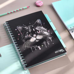 Caiet dictando cu spirala si separatoare B5 (100 file) - Strigo Pads Project Book (Pisica)