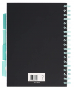 Caiet dictando cu spirala si separatoare B5 (100 file) - Strigo Pads Project Book (Pisica)