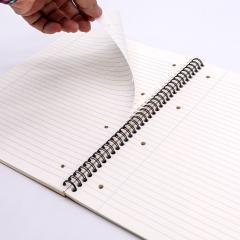 Caiet - Pukka Pad - Jotta Kraft, Dictando A4, 4 perforatii indosariere