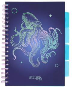 Caiet - Strigo Pads - Project Book Caracatita - Matematica B5, cu spirala si separatoare