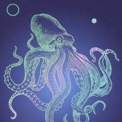 Caiet - Strigo Pads - Project Book Caracatita - Matematica B5, cu spirala si separatoare