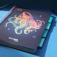 Caiet - Strigo Pads - Project Book Caracatita - Matematica B5, cu spirala si separatoare