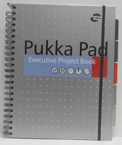 Caiet - Pukka Pad Metalic Executive Project - Dictando A4 - Silver