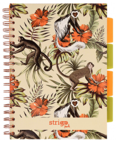 Caiet - Strigo Pads - Project Book Tropical - Matematica B5, cu spirala si separatoare