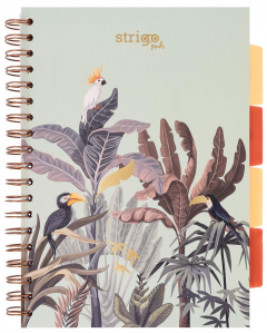 Caiet - Strigo Pads - Project Book Africa - Matematica B5, cu spirala si separatoare