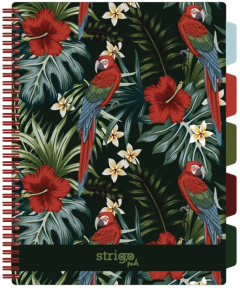 Caiet matematica cu spirala si separatoare A4 (100 file) - Strigo Pads Project Book (Tropical)