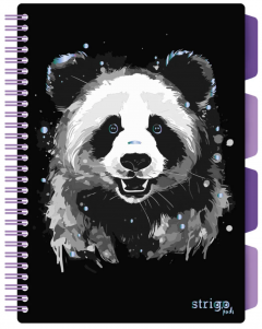 Caiet matematica cu spirala si separatoare B5 (100 file) - Strigo Pads Project Book (Panda)