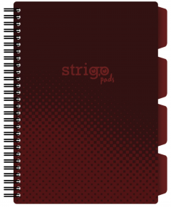 Caiet matematica cu spirala si separatoare B5 (100 file) - Strigo Pads Project Book (Visiniu)