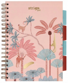 Caiet matematica cu spirala si separatoare B5 (100 file) - Strigo Pads Project Book (Africa)