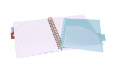 Caiet matematica cu spirala si separatoare B5 (100 file) - Strigo Pads Project Book (Africa)