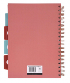 Caiet matematica cu spirala si separatoare B5 (100 file) - Strigo Pads Project Book (Africa)