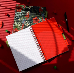 Caiet matematica cu spirala si separatoare B5 - Strigo Pads Project Book (Tropical)