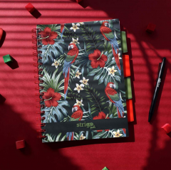 Caiet matematica cu spirala si separatoare B5 - Strigo Pads Project Book (Tropical)