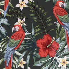 Caiet matematica cu spirala si separatoare B5 - Strigo Pads Project Book (Tropical)