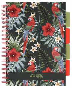Caiet matematica cu spirala si separatoare B5 - Strigo Pads Project Book (Tropical)