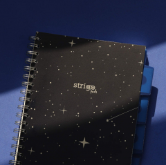 Caiet matematica cu spirala si separatoare A4 - Strigo Pads Project Book (Sky)