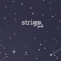 Caiet matematica cu spirala si separatoare A4 - Strigo Pads Project Book (Sky)