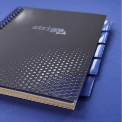 Caiet matematica cu spirala si separatoare A4 - Strigo Pads Project Book (Albastru)