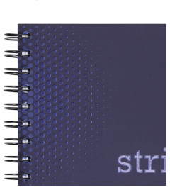 Caiet matematica cu spirala si separatoare A4 - Strigo Pads Project Book (Albastru)