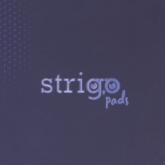 Caiet matematica cu spirala si separatoare A4 - Strigo Pads Project Book (Albastru)