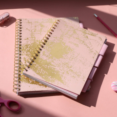 Caiet matematica cu spirala si separatoare B5 - Strigo Pads Project Book (Marmorat)