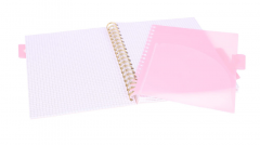 Caiet matematica cu spirala si separatoare B5 - Strigo Pads Project Book (Marmorat)