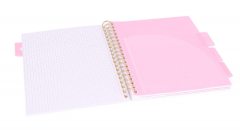 Caiet matematica cu spirala si separatoare B5 - Strigo Pads Project Book (Marmorat)