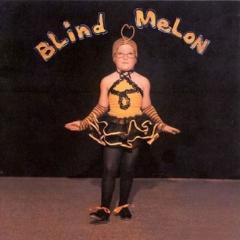 Blind Melon - Vinyl