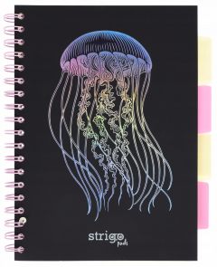 Caiet matematica cu spirala si separatoare B5 (100 file) - Strigo Pads Project Book (Meduza)