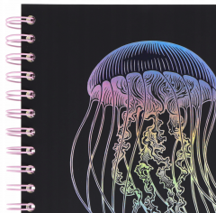 Caiet matematica cu spirala si separatoare B5 (100 file) - Strigo Pads Project Book (Meduza)