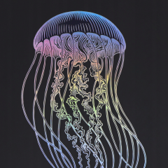 Caiet matematica cu spirala si separatoare B5 (100 file) - Strigo Pads Project Book (Meduza)