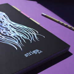 Caiet matematica cu spirala si separatoare B5 (100 file) - Strigo Pads Project Book (Meduza)