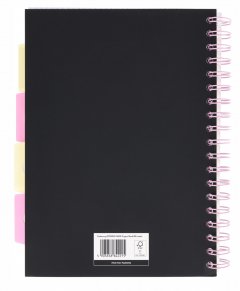 Caiet matematica cu spirala si separatoare B5 (100 file) - Strigo Pads Project Book (Meduza)