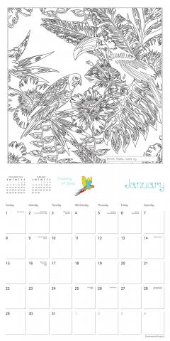 Calendar 2017 - Secret Places: Adventures in Ink and Imagination 