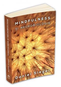 Mindfulness si neurobiologie 