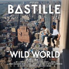 Wild World - Vinyl