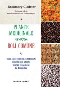 Plante medicinale pentru boli comune Rosemary Gladstar