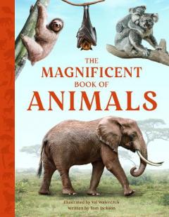 Magnificent Book of Animals