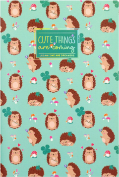 Caiet - Quaderno - Hedgehog - Medium