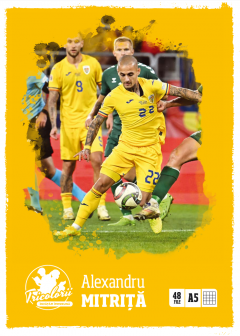 Caiet matematica A5 (48 file) - Alexandru Mitrita