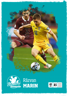 Caiet dictando A5 (48 file) - Razvan Marin