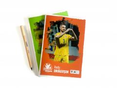 Caiet dictando A5 (48 file) - Radu Dragusin