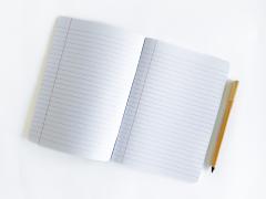 Caiet dictando A5 (48 file) - Radu Dragusin