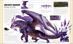  Dungeons & Dragons: The Book of Dragons