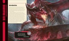  Dungeons & Dragons: The Book of Dragons