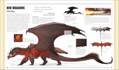  Dungeons & Dragons: The Book of Dragons